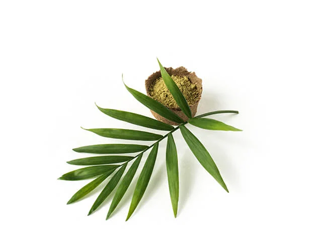 Sobrancelha de Henna